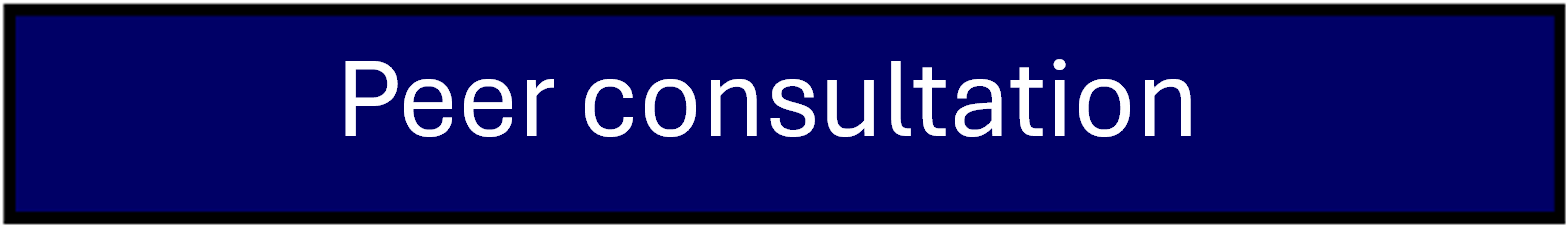 peer consultation
